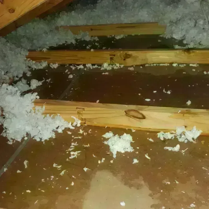 Attic Water Damage in New Castle, VA